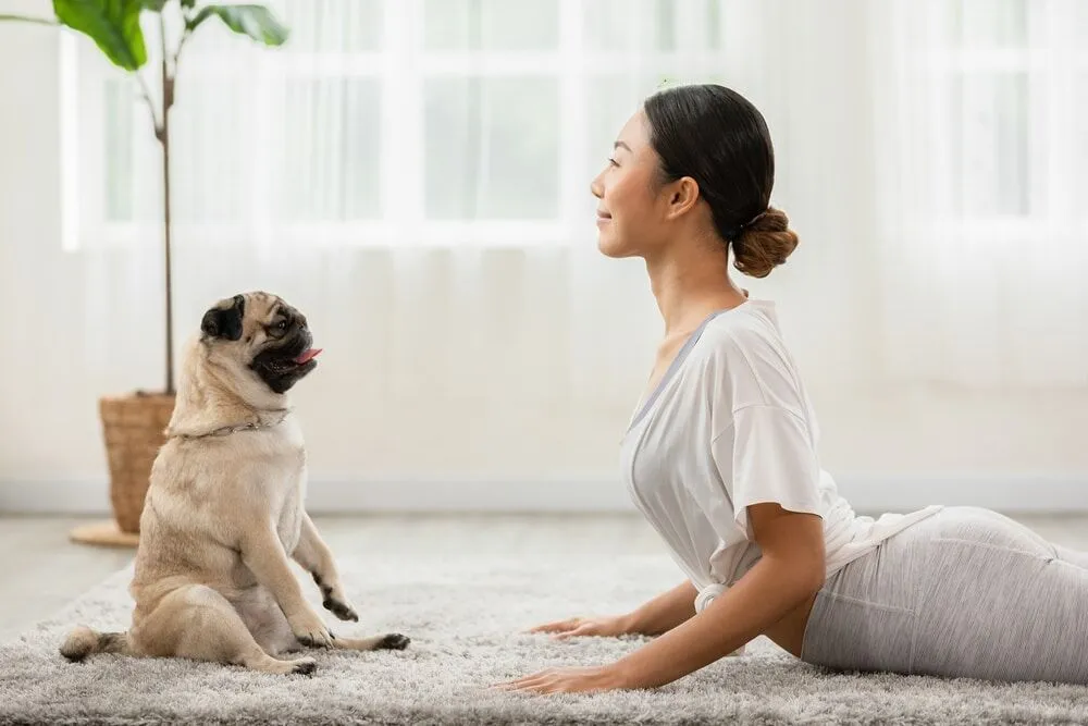 Cultivate Mindfulness with Puppy Yoga